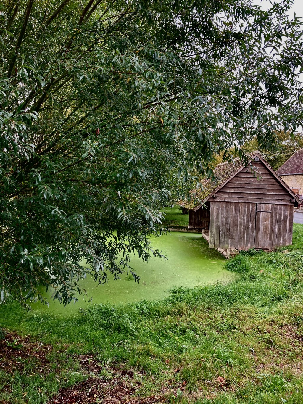 Petit Run-visite à Dame Marie (Orne.&nbsp;fR)